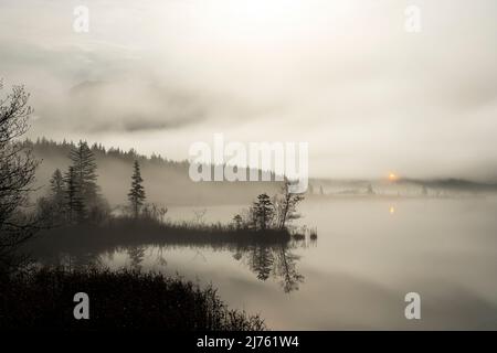 Die kleine Kapelle Maria rast bei Krün strahlt wie ein Hoffnungsschimmer durch den Nebel über dem kleinen Moorsee in den bayerischen Alpen. Im Hintergrund das Karwendelgebirge schattig, während die Landschaft durch den nicht sichtbaren Vollmond beleuchtet wird, im Vordergrund ein kleines Vorgebirge im Waser, mit Bäumen und Sträuchern. Stockfoto