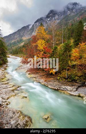 Herbst am Rissbach mit Ahorn- und Buchenlaub und Herbstfarben. Im Hintergrund der Vorderskopf, im Vordergrund Stromschnellen des Baches. Stockfoto