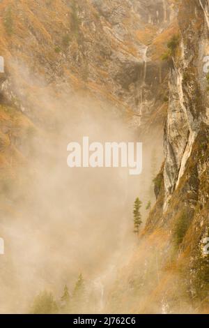 Ein kleiner Wasserfall in den bayerischen Alpen am Karwendel, oberhalb der Isar, steht auf der schroffen Felswand ein einziger Baum im Nebel, während im Hintergrund das Wasser in eine enge Schlucht fällt. Stockfoto