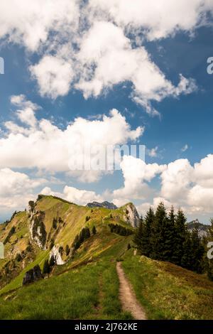 Der Wanderweg, Bergweg zwischen Brauneck und Benediktenwand am Grat entlang, im Hintergrund rechts der Vordere Kirchstein und links der Latschenkopf, Ganz hinten noch die Gipfel der Benediktenwand an einem schönen Frühsommertag mit blauem Himmel und heller Wolkendecke. Stockfoto