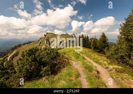 Der Wanderweg, Bergweg zwischen Brauneck und Benediktenwand am Grat entlang, im Hintergrund rechts der Vordere Kirchstein und links der Latschenkopf, Ganz hinten noch die Gipfel der Benediktenwand an einem schönen Frühsommertag mit blauem Himmel und heller Wolkendecke. Stockfoto