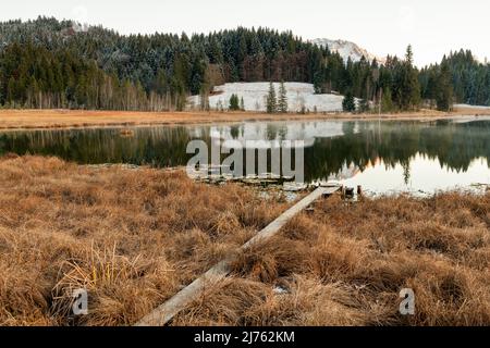Ein kalter Herbstnachmittag am Geroldsee, auch Wagenbrüchsee genannt, eine Fußgängerbrücke im Vordergrund, im Hintergrund etwas Neuschnee und das Karwendel. Eine schmale Fußgängerbrücke führt durch das Schilf zum Moorsee. Stockfoto
