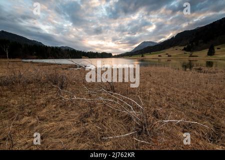 Wolkige Atmosphäre mit Sonnenuntergangsfarben am herbstlichen Geroldsee, auch am Wagenbrüchsee in den bayerischen Alpen bei Garmisch-Partenkirchen. Im Vordergrund Zeichen und ein getrockneter Busch. Stockfoto