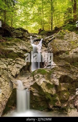 Die Kesselberg-Wasserfälle bei Kochel, moosige Felsen, klares Wasser und grünes Laub dominieren diese Aussicht auf klares Bergwasser. Stockfoto