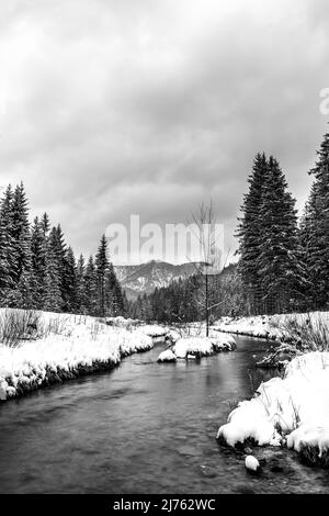 Bachlauf des Obernach zwischen Wallgau und Walchensee im Winter bei Schneefall und mit einer kleinen Insel im Schnee. Im Hintergrund der Herzogstand bei bewölktem Wetter. Stockfoto