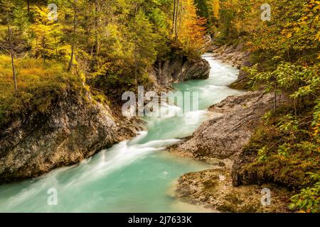 Der Rissbach, einer der Nebenflüsse der Isar in den bayerisch-Tiroler Alpen, das Karwendel, fotografiert im Herbst mit bunten Blättern. Stockfoto