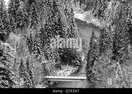 Die Brücke am Rissbach im Karwendel bei Hinterriss im Winter mit Neuschnee im verschneiten Wald von einem Hochberg aus gesehen. Stockfoto