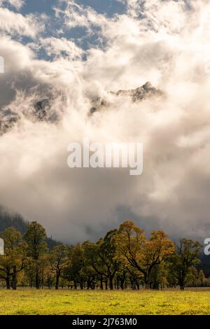 Dichte Wolken am Großen Ahornboden im Risstal / eng, bei Hinterriss, Tirol / Österreich im Herbst im Herzen des Naturparks Karwendel. Im Hintergrund umhüllen dichte Wolken die Spritzkarspitze der Lalidererwände, während die herbstlichen Bäume im Vordergrund im Hintergrund leuchten. Stockfoto