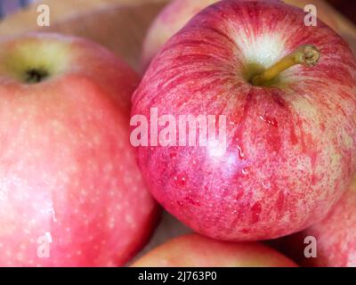 Ein paar Galaäpfel, eine Nahaufnahme. Reife Äpfel. Gala ist eine geklaufene Apfelsorte mit einem milden und süßen Geschmack. Stockfoto