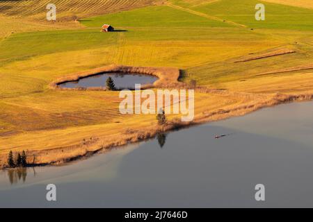 Zwei Kajaker am Ufer des Kochelsees, neben einem kleinen Moorteich, im Hintergrund eine Heuscheune, während die Moorwiese in Herbstfarben leuchtet. Stockfoto