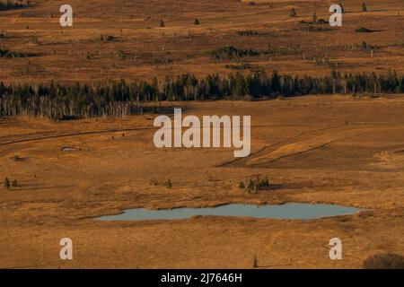 Kleiner Moorsee in der Nähe von Loisach bei Kochel, im bayerischen voralpenland Stockfoto