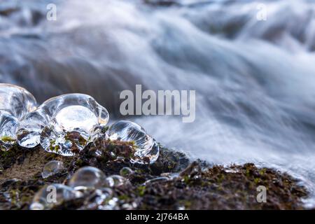 Eistropfen am Rissbach-Ufer im Karwendel im Winter, im Hintergrund fließt das Wasser des kleinen Baches vorbei. Stockfoto