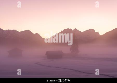 Neblige Atmosphäre zwischen Krün und Wallgau im Werdenfelser Land im Winter. Dichter Nebel liegt über den verschneiten Wiesen mit Stadln, im Hintergrund die Wettersteingebirge und die Zugspitze im violetten Abendrot mit wolkenlosem Himmel. Stockfoto