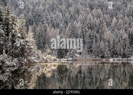 Winter am Lautersee mit Spiegelung des Wlades in ruhigem Wasser Stockfoto
