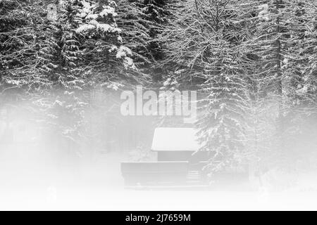 Die verschneite Hütte der Wasserwacht am Lautersee bei Mittenwald im Winter mit gefrorenem See, Neuschnee und dichtem Nebel. Stockfoto