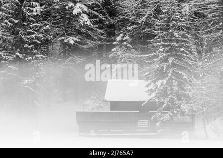 Die verschneite Hütte der Wasserwacht am Lautersee bei Mittenwald im Winter mit gefrorenem See, Neuschnee und dichtem Nebel. Stockfoto