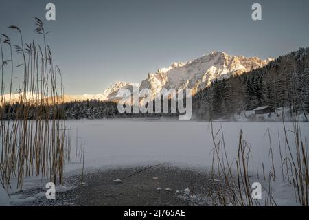 Der gefrorene Lautersee im Winter in Schnee und Eis, im Vordergrund Schilf, im Hintergrund das Karwendelgebirge Stockfoto