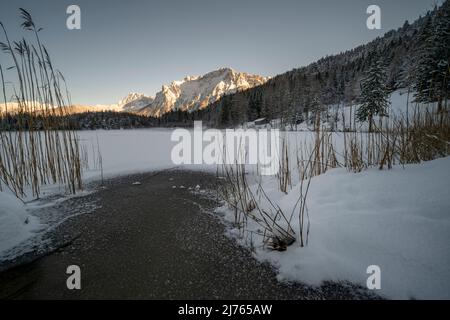 Der gefrorene Lautersee im Winter in Schnee und Eis, im Vordergrund Schilf, im Hintergrund das Karwendelgebirge Stockfoto