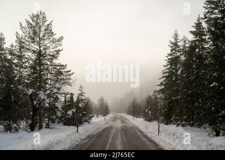 Die Mautstraße zwischen Wallgau und Vorderriss am Rande des Karwendels in den deutsch-österreichischen Alpen im Winter bei Schnee und Eis. Die Straße ist nur gerodet, aber nicht gesalzen und kann bei dem richtigen Wetter sehr rutschig sein. Der Rand ist mit aufgetürmtem Schnee gesäumt und die Landschaft ist in dichten Nebel getaucht. Stockfoto