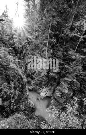 Sonne im Herbstwald an der Geisterklamm Mittenwald, Leutasch bei den Wettersteingebirge in den Alpen. Im Tal fließt der Bach, während die Felswände mit buntem Laub gefärbt sind. Stockfoto