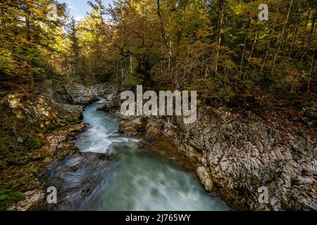 Herbst an der Leutascher oder Mittenwalder Geisterklamm im Grenzgebiet zwischen Deutschland und Österreich. Das Wasser fließt zwischen Felsen und bunt gemischtem Laub in Richtung Mittenwald, durch die Äste sind die schneebedeckten Gipfel des westlichen Karwendels am milden Himmel zu erkennen. Stockfoto