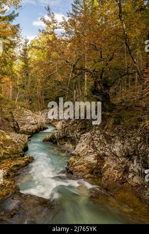 Herbst an der Leutascher oder Mittenwalder Geisterklamm im Grenzgebiet zwischen Deutschland und Österreich. Das Wasser fließt zwischen Felsen und bunt gemischtem Laub in Richtung Mittenwald, durch die Äste sind die schneebedeckten Gipfel des westlichen Karwendels am milden Himmel zu erkennen. Stockfoto