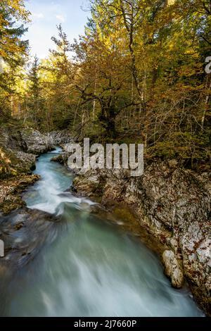 Herbst an der Leutascher oder Mittenwalder Geisterklamm im Grenzgebiet zwischen Deutschland und Österreich. Das Wasser fließt zwischen Felsen und bunt gemischtem Laub in Richtung Mittenwald, durch die Äste sind die schneebedeckten Gipfel des westlichen Karwendels am milden Himmel zu erkennen. Stockfoto