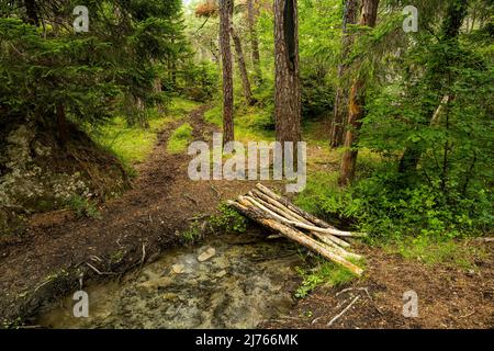 Eine kleine Holzbrücke über einen Bach in Forchet, dem letzten verbliebenen Bergwald im Inntal, bei Haiming. Stockfoto