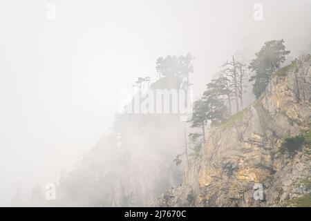 Die Felswände am Herzogstand in den bayerischen Alpen vom Walchensee aus gesehen. Dichter Nebel und Wolken hängen zwischen den zerklüfteten Felsen. Stockfoto