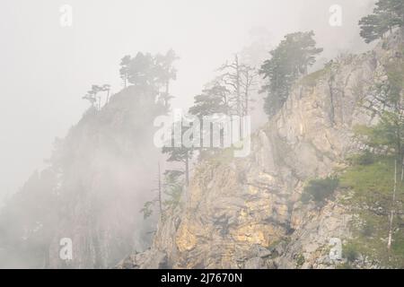 Die Felswände am Herzogstand in den bayerischen Alpen vom Walchensee aus gesehen. Dichter Nebel und Wolken hängen zwischen den zerklüfteten Felsen. Stockfoto