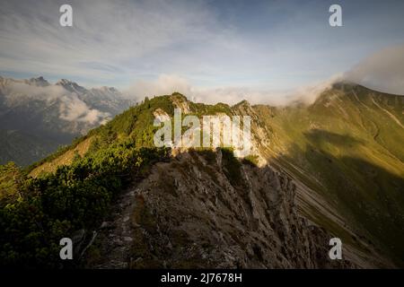 Der Grat zwischen Fleischbank und Schönalmjoch im Karwendel am frühen Morgen im Spätsommer, mit Bergkiefern Stockfoto