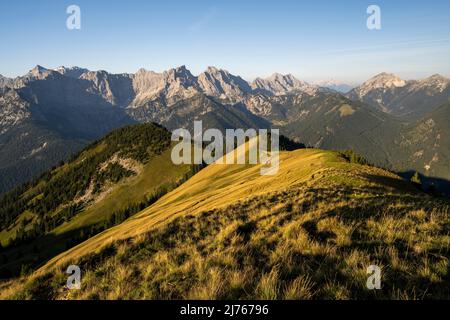 Bergwiese auf dem Schönalmjoch am frühen Morgen im Sonnenlicht, auf dem Schönalmjoch. Im Hintergrund die Gipfel des Karwendels unter blauem Himmel. Stockfoto