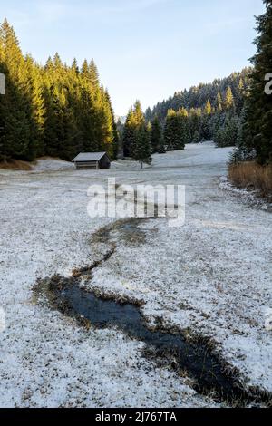 Eine kleine Heuscheune auf einer Moorwiese im Reifrost. Ein kleiner Bach führt zur Hütte auf der Lichtung Stockfoto