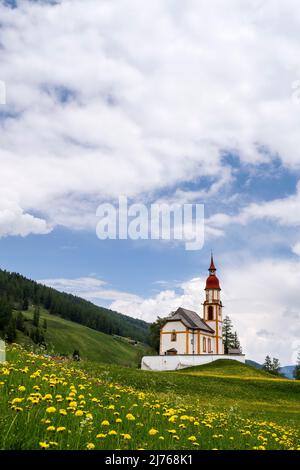 Die historische Nikolaikirche in Obernberg am Brenner in Tirol. Im Vordergrund eine Blumenwiese mit Delaionblüten, im Hintergrund blauer Himmel und Wolken. Stockfoto