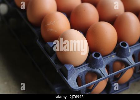 Nahaufnahme frische Bio-Eier Hühnerfarm in den Muscheln, Junge frische Hühnereipackung Karton. Stockfoto