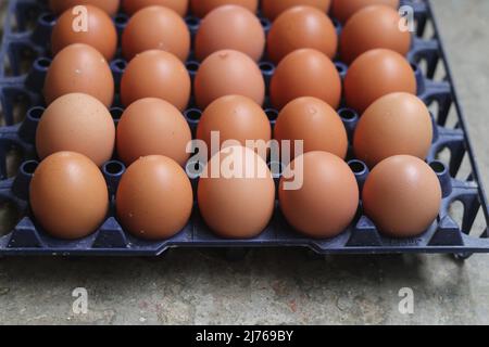 Nahaufnahme frische Bio-Eier Hühnerfarm in den Muscheln, Junge frische Hühnereipackung Karton. Stockfoto