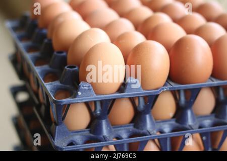 Nahaufnahme frische Bio-Eier Hühnerfarm in den Muscheln, Junge frische Hühnereipackung Karton. Stockfoto