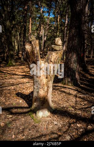 Steinturm auf einem Baumstumpf am Rande eines Pfades im Pfälzer Wald, Zeichen der Orientierung und Unvergänglichkeit Stockfoto