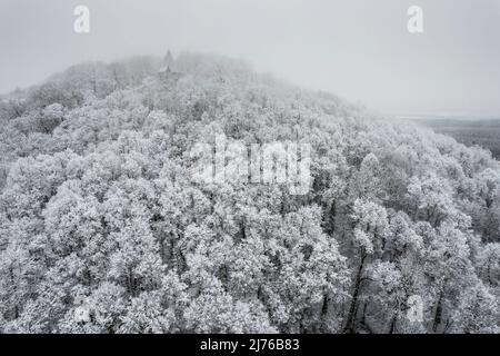 Europa, Polen, Niederschlesien, Grodziec / Gröditzberg, Wald, Winter Stockfoto