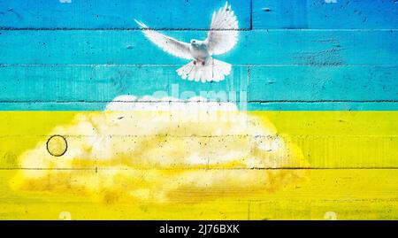 Friedenstaube auf einer Betonwand in den Farben der ukrainischen Flagge Stockfoto