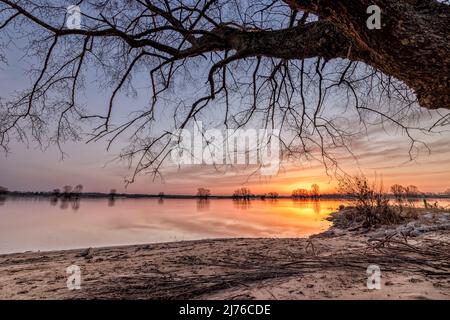 Sonnenaufgang über der Elbe bei Bleckede im niedersächsischen Elbtal Stockfoto