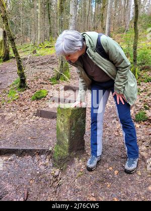 Alter Grenzstein Deutschland-Saarland an der Traumschleife Saarhölzbachpfad, Traumschleifen Saar-Hunsrück, Saarhölzbach, Saarland, Deutschland Stockfoto