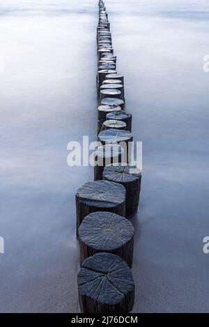 Groynes am Strand bei Ahrenshoop, Abendstimmung, Ostsee, Deutschland, Mecklenburg-Vorpommern, Halbinsel Fischland-Darß-Zingst Stockfoto