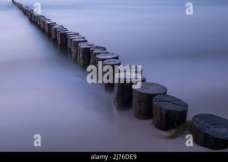 Groynes am Strand bei Ahrenshoop, Abendstimmung, Ostsee, Deutschland, Mecklenburg-Vorpommern, Halbinsel Fischland-Darß-Zingst Stockfoto