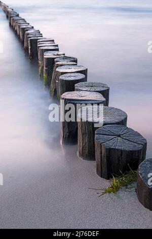 Groynes am Strand bei Ahrenshoop, Abendstimmung, Ostsee, Deutschland, Mecklenburg-Vorpommern, Halbinsel Fischland-Darß-Zingst Stockfoto