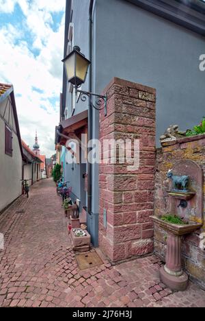 Hausfront, Gasse, Dekoration, Dorfblick, Herbst, Rothenfels, Main-Spessart, Franken, Bayern, Deutschland, Europa Stockfoto