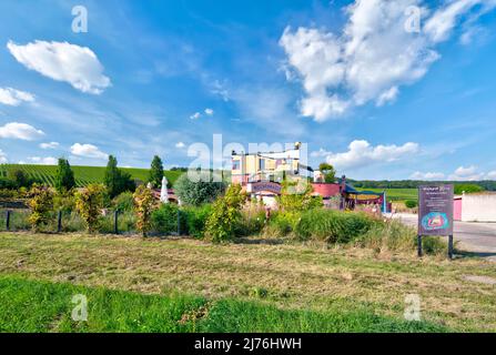 Weingut Hirn, Weingut, Hausfassade, Weinblätter, Herbst, Untereisenheim, Franken, Bayern, Deutschland, Europa, Stockfoto