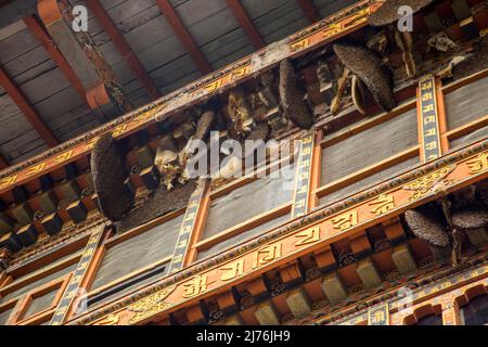 Tashichho Dzong, Thimphu, Bhutan 2019 Stockfoto