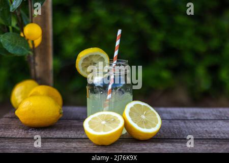 Ein rustikales Vintage-Glas mit frischer hausgemachter Limonade mit einigen geschnittenen und ganzen Zitronen und einigen Zitronenbäumen Stockfoto