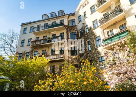 Berlin, Mitte, Hackesche Höfe, grüner Innenhof Stockfoto